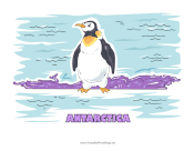 Antarctica Animal