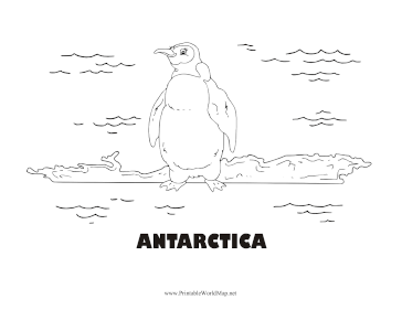 Antarctica Animal Black and White