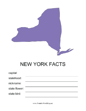 New York Facts