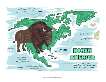 North America Animal