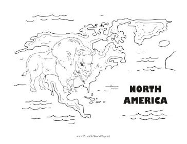 North America Animal Black and White