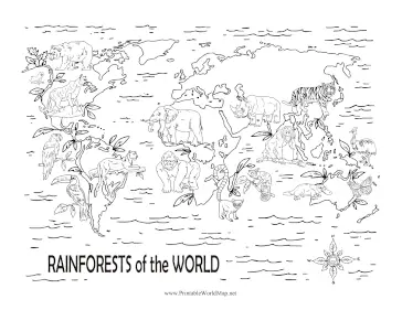 Rainforests Of The World Black and White