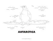 Antarctica Animal Black and White